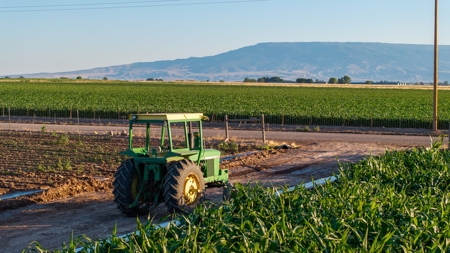 Olathe Irrigated Farm Land For Sale in Western Colorado - image 14