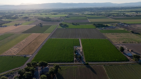 Olathe Irrigated Farm Land For Sale in Western Colorado - image 9