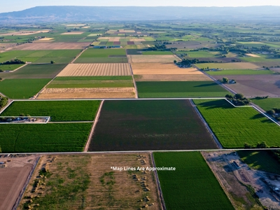 Olathe Irrigated Farm Land For Sale in Western Colorado - image 1