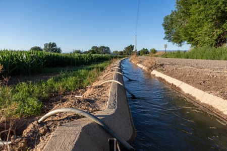 Olathe Irrigated Farm Land For Sale in Western Colorado - image 6