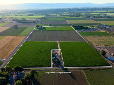 Olathe Irrigated Farm Land For Sale in Western Colorado - image 2
