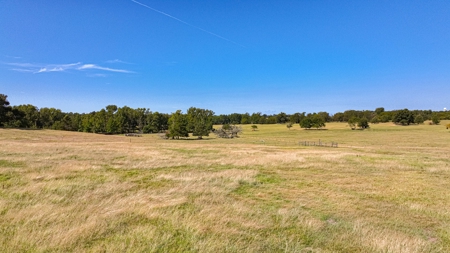 50 Acres 3Br-3Ba Brick - Horse Stalls Working Pens Tack Room - image 40