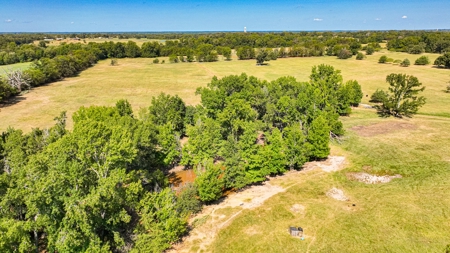 50 Acres 3Br-3Ba Brick - Horse Stalls Working Pens Tack Room - image 47