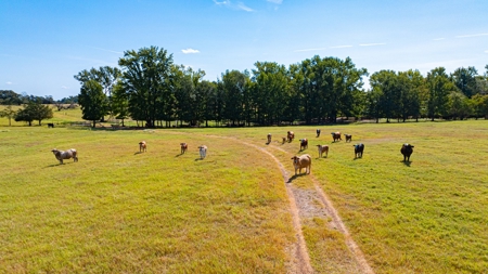 50 Acres 3Br-3Ba Brick - Horse Stalls Working Pens Tack Room - image 4