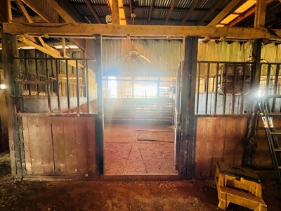 50 Acres 3Br-3Ba Brick - Horse Stalls Working Pens Tack Room - image 32