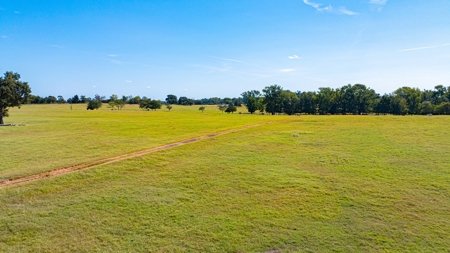 50 Acres 3Br-3Ba Brick - Horse Stalls Working Pens Tack Room - image 3