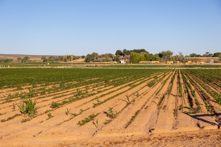 Western Colorado Irrigated Farm Land with Gravel Pit - image 4