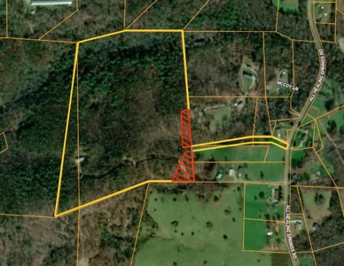 54 +/-  Wooded Acres in Alexander County - image 1