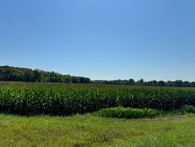 200 Acres In Historic Caldwell County Mo For Sale - image 15