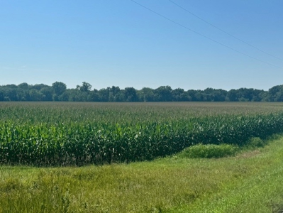 200 Acres In Historic Caldwell County Mo For Sale - image 1