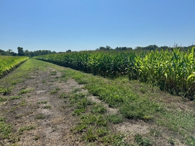 200 Acres In Historic Caldwell County Mo For Sale - image 2