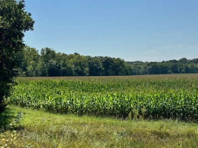 200 Acres In Historic Caldwell County Mo For Sale - image 7