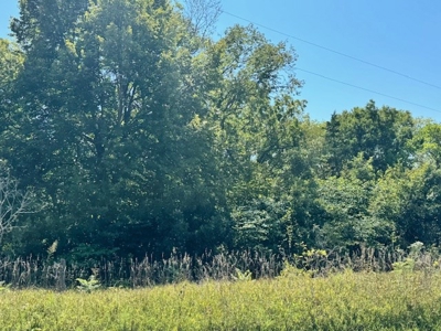 200 Acres In Historic Caldwell County Mo For Sale - image 4
