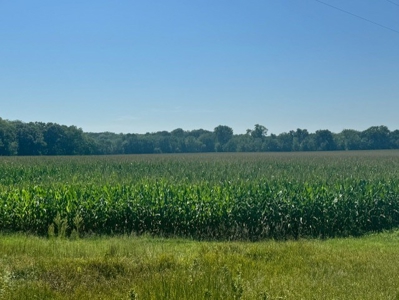 200 Acres In Historic Caldwell County Mo For Sale - image 8