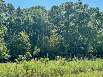 200 Acres In Historic Caldwell County Mo For Sale - image 5