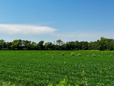 Land for sale Dothan, AL - image 7
