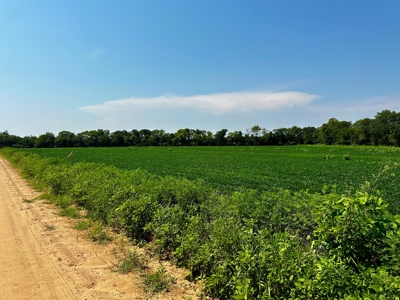 Land for sale Dothan, AL - image 5