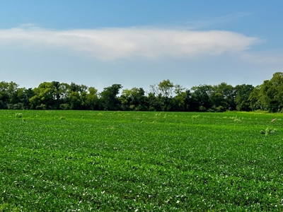Land for sale Dothan, AL - image 6