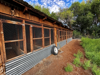 Olathe CO Farm for Sale with Home, Corrals, Spring, Gravel - image 30
