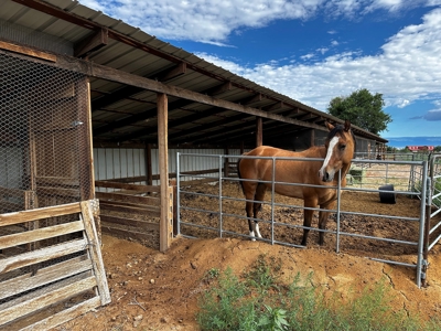 Olathe CO Farm for Sale with Home, Corrals, Spring, Gravel - image 26