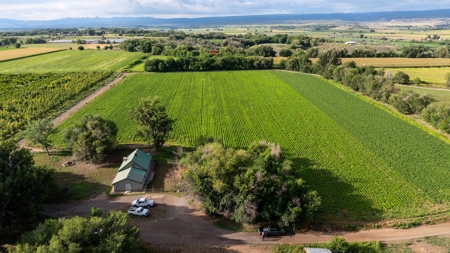 Olathe CO Farm for Sale with Home, Corrals, Spring, Gravel - image 10