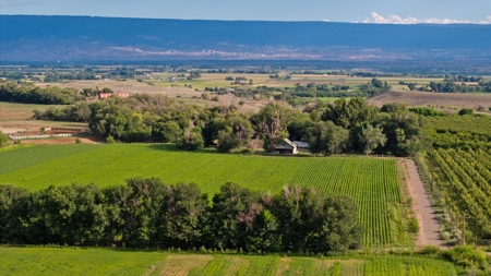 Olathe CO Farm for Sale with Home, Corrals, Spring, Gravel - image 11