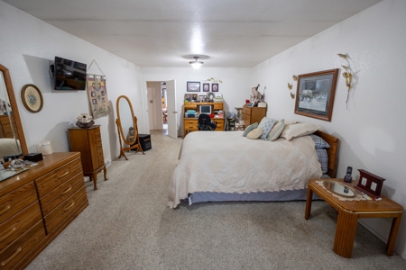 Olathe CO Farm for Sale with Home, Corrals, Spring, Gravel - image 23