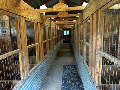 Olathe CO Farm for Sale with Home, Corrals, Spring, Gravel - image 32