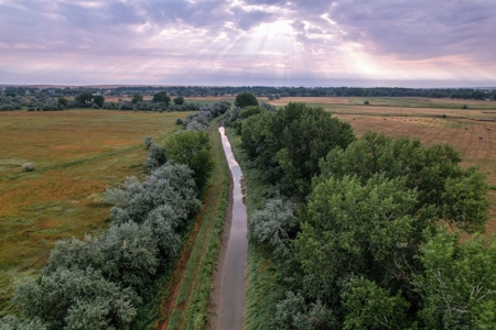 Whitetail Meadows - image 30