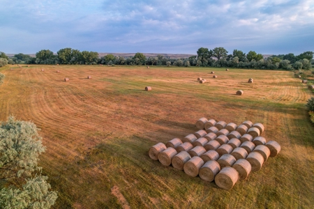 Whitetail Meadows - image 3
