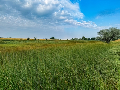 Whitetail Meadows - image 41