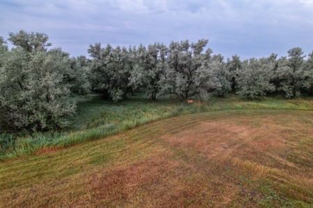 Whitetail Meadows - image 11