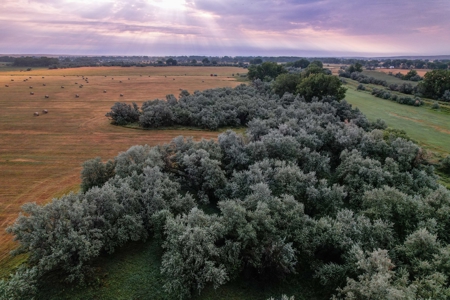 Whitetail Meadows - image 20