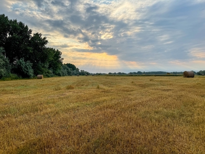 Whitetail Meadows - image 14