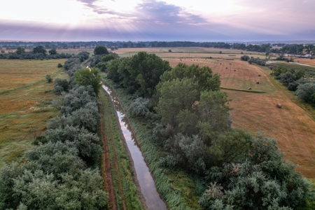 Whitetail Meadows - image 4