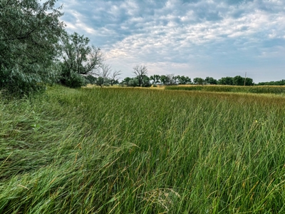 Whitetail Meadows - image 42