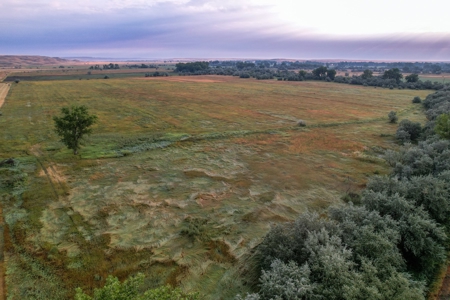 Whitetail Meadows - image 5