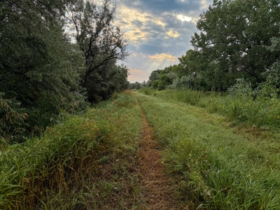 Whitetail Meadows - image 38