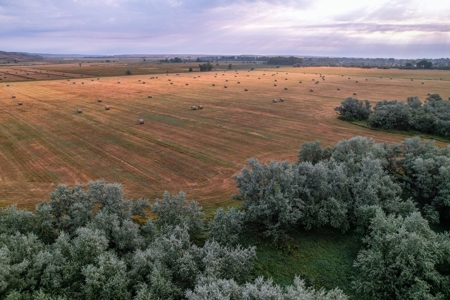 Whitetail Meadows - image 21