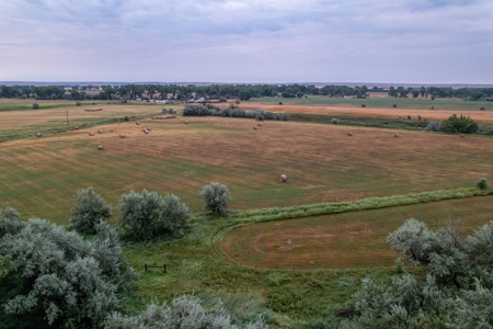 Whitetail Meadows - image 27