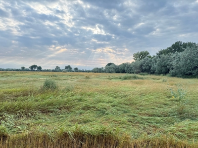 Whitetail Meadows - image 31
