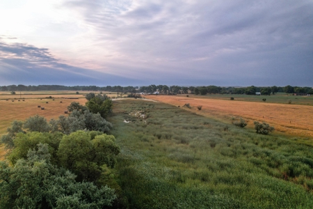Whitetail Meadows - image 2