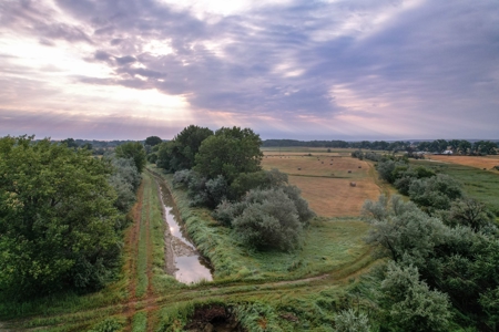 Whitetail Meadows - image 13