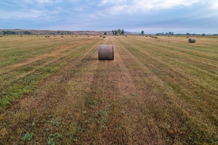Whitetail Meadows - image 9