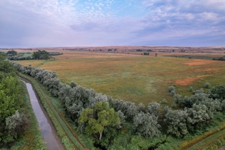 Whitetail Meadows - image 6