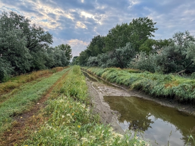 Whitetail Meadows - image 36