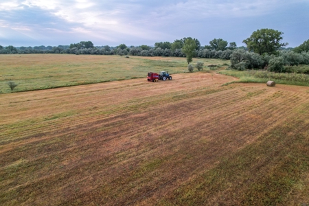 Whitetail Meadows - image 8