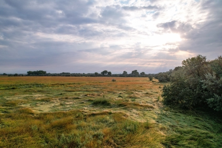 Whitetail Meadows - image 19