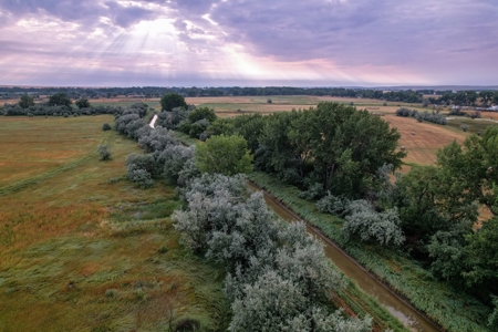 Whitetail Meadows - image 29