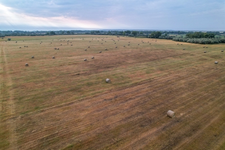 Whitetail Meadows - image 22